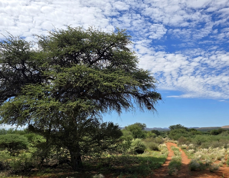 Commercial Property for Sale in Griekwastad Rural Northern Cape